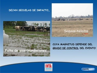 Falta de piso-inundaciones Sequías-heladas CUYA MAGNITUD DEPENDE DEL  GRADO DE CONTROL  DEL EVENTO  DEJAN SECUELAS DE IMPACTO , 