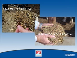 UNA MEZCLA DE USA UNA MEZCLA DE RAFAELA 