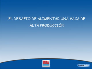 EL DESAFIO DE ALIMENTAR UNA VACA DE ALTA PRODUCCIÓN 