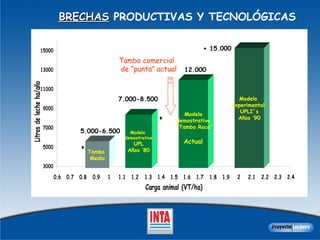 Tambo  Medio Modelo  demostrativo UPL Años ‘80 Modelo demostrativo “ Tambo Roca” Actual Modelo  experimental  UPLI´s Años ‘90 5.000-6.500 7.000-8.500 12.000   + 15.000  Tambo comercial de “punta” actual BRECHAS  PRODUCTIVAS Y TECNOLÓGICAS 