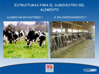 ESTRUCTURAS PARA EL SUMINISTRO DEL ALIMENTO ALIMENTAR EN PASTOREO ?  O  EN CONFINAMIENTO ?  