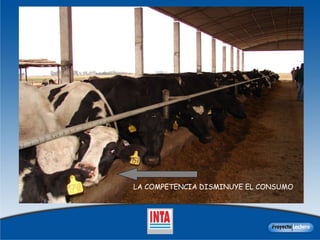 LA COMPETENCIA DISMINUYE EL CONSUMO 