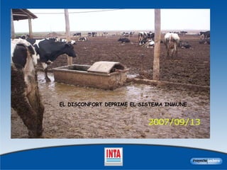 EL DISCONFORT DEPRIME EL SISTEMA INMUNE 