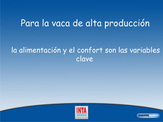 Para la vaca de alta producción   la alimentación y el confort son las variables clave  