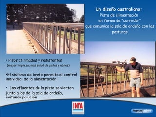 Un diseño australiano:  Pista de alimentación  en forma de “corredor” que comunica la sala de ordeño con las pasturas Pisos afirmados y resistentes  (mejor limpieza, más salud de patas y ubres)   El sistema de brete permite el control individual de la alimentación Los efluentes de la pista se vierten junto a los de la sala de ordeño,   evitando polución 