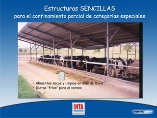 Estructuras SENCILLAS  para el confinamiento parcial de categorías especiales   Alimentos secos y limpios en días de lluvia Dietas “frías” para el verano 