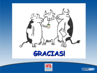 GRACIAS! 