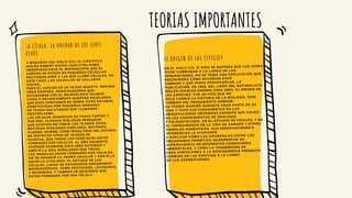 TEORIAS IMPORTANTES
A MEDIADOS DEL SIGLO XVII, EL CIENTÍFICO
INGLÉS ROBERT HOOKE (1635-1703) HABÍA
OBSERVADO BAJO EL MICROSCOPIO QUE EL
CORCHO SE DIVIDÍA EN PEQUEÑAS CELDILLAS
RECTANGULARES A LAS QUE LLAMÓ CÉLULAS. EN
ESTE CASO, LAS CELDILLAS SE HALLABAN
VACÍAS,
PUES EL CORCHO ES UN TEJIDO MUERTO. MUCHOS
AÑOS DESPUÉS, INVESTIGADORES QUE
ESTUDIABAN CON EL MICROSCOPIO TEJIDOS
VIVOS O RECIENTEMENTE MUERTOS REVELARON
QUE ESAS PORCIONES DE SERES VIVOS ESTABAN
CONSTITUIDAS POR PEQUEÑAS UNIDADES
DE TEJIDO GELATINOSO QUE LLAMARON
PROTOPLASMA.
LAS CÉLULAS APARECÍAN EN TODAS PARTES Y,
POR ESO, ALGUNOS BIÓLOGOS PENSARON
QUE EXISTÍAN EN TODOS LOS TEJIDOS VIVOS.
MATTHIAS SCHLEIDEN (1804-1881), BOTÁNICO
ALEMÁN, AFIRMÓ, COMO RESULTADO DEL ESTUDIO
DE DISTINTOS TIPOS DE TEJIDOS DE
PLANTAS, QUE TODOS LOS VEGETALES ESTÁN
FORMADOS POR CÉLULAS. AL AÑO SIGUIENTE,
THEODOR SCHWANN (1810-1882) EXTENDIÓ Y
AMPLIÓ LA IDEA SEÑALANDO QUE TODOS
LOS ANIMALES ESTÁN FORMADOS POR CÉLULAS.
ASÍ SE ENUNCIÓ LA TEORÍA CELULAR Y CON ELLA
NACIÓ LA CITOLOGÍA: EL ESTUDIO DE LAS
CÉLULAS. LUEGO SE ESTUDIARON ORGANISMOS
MICROSCÓPICOS, COMO PROTOZOOS, LEVADURAS
Y MICROBIOS, Y TAMBIÉN SE DESCRIBIÓ QUE
ESTÁN FORMADOS POR UNA CÉLULA.
LA CÉLULA: LA UNIDAD DE LOS SERES
VIVOS
EN EL SIGLO XIX, SI BIEN SE SUPONÍA QUE LOS SERES
VIVOS CAMBIABAN A LO LARGO DE LAS
GENERACIONES, NO SE TENÍA UNA EXPLICACIÓN QUE
DESCRIBIERA CÓMO OCURRÍAN ESOS
CAMBIOS Y QUÉ PODÍA PROVOCARLOS. LA
PUBLICACIÓN, EN 1859, DEL LIBRO DEL NATURALISTA
INGLÉS CHARLES DARWIN (1809-1882), EL ORIGEN DE
LAS ESPECIES, FUE UN HITO QUE NO
SOLO CAMBIÓ LA HISTORIA DE LA BIOLOGÍA, SINO
TAMBIÉN DEL PENSAMIENTO HUMANO.
SU TEORÍA MADURÓ DURANTE GRAN PARTE DE SU
VIDA Y TUVO SUS FUNDAMENTOS EN LAS
OBSERVACIONES OBTENIDAS DURANTE SUS VIAJES,
EN LOS CONOCIMIENTOS DE GEOLOGÍA
Y PALEONTOLOGÍA, EN EL ESTUDIO DE FÓSILES, Y EN
EL CONOCIMIENTO DE LA CRÍA DE GANADO Y OTROS
ANIMALES DOMÉSTICOS. SUS OBSERVACIONES E
INFERENCIAS LE AYUDARON
A EXPLICAR CÓMO LAS DIFERENCIAS ENTRE LOS
ORGANISMOS PERMITÍAN INCREMENTAR SU
SUPERVIVENCIA EN DIFERENTES CONDICIONES
AMBIENTALES, Y CÓMO LA TRANSMISIÓN DE
ESAS VARIACIONES A LA DESCENDENCIA PROMOVÍA
CAMBIOS EN LAS ESPECIES A LO LARGO
DE LAS GENERACIONES.
EL ORIGEN DE LAS ESPECIES
 