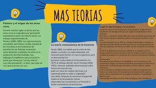 Pasteur y el origen de los seres
vivos
Durante muchos siglos se pensó que los
seres vivos se originaban por generación
espontánea a partir de materia inerte. Los
trabajos experimentales de
Pasteur (1892-1895), tan ingeniosamente
concebidos, permitieron revelar el papel de
los microbios en los fenómenos de
putrefacción de distintas sustancias,
como alimentos y bebidas, así como en la
producción de enfermedades. Sus
hallazgos lo habilitaron para enunciar la
teoría que afirma que “no hay vida sin
una vida precedente”, es decir, que todo ser
vivo deriva de otro ser vivo.
El siglo XX: siglo de los genes y la neurociencia
Uno de los avances más revolucionarios de la biología en el siglo XX fue el
surgimiento de la biología molecular, que estudia el comportamiento de las
moléculas
de la vida y su regulación. Desde 1954, año en que se describe la estructura del
ADN, se han producido numerosos cambios en el modo de estudiar los seres
vivos.
Un hecho importante fue, en 1982, la constitución del GenBank, una base de
datos de acceso libre donde se pueden encontrar las secuencias genéticas de
miles de organismos. Otro hito fue, en 2003, cuando se presentó a la sociedad
la
versión final del genoma humano que, además de su importancia para la
biología, significó entender a la ciencia como una empresa colectiva, pues su
resultado fue posible por la constitución de un consorcio formado por científicos
de
muchos países.
Otro campo de gran difusión en la actualidad es el de la neurociencia. Las
neurociencias incluyen un conjunto de disciplinas que estudian la estructura, la
organización y el funcionamiento del sistema nervioso. Además, intentan
comprender
cómo se relaciona la actividad neuronal con la mente y el comportamiento
humano. La comprensión del funcionamiento del cerebro permite explicar y
operar sobre el comportamiento, los estados emocionales y el aprendizaje, y
además tratar
enfermedades del sistema nervioso tanto neurológicas como psiquiátricas.
La teoría cromosómica de la herencia
Desde 1860, era sabido que la unión de dos
células, un óvulo y un espermatozoide, era
necesaria para formar un nuevo organismo, pero
se desconocían los
procesos involucrados en la fecundación. En
1875, el zoólogo alemán Oscar Hertwig (1849-
1922), mientras realizaba observaciones sobre
huevos de erizo de mar,
pudo ver cómo los núcleos del óvulo y el
espermatozoide se unían y originaban
una célula. Después de reconocer el papel del
núcleo en la fecundación, fueron
observados los cromosomas y se formuló la
teoría cromosómica de la herencia.
MAS TEORIAS
 