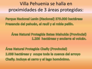 Villa Pehuenia se halla en 
proximidades de 3 áreas protegidas: 
 