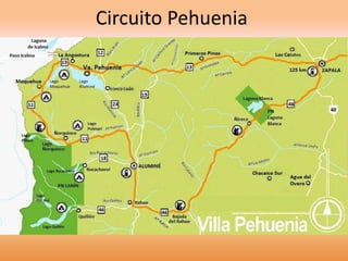 Circuito Pehuenia 
 