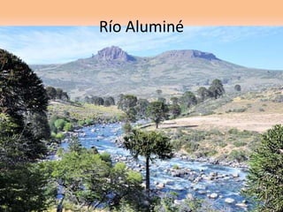 Río Aluminé 
 