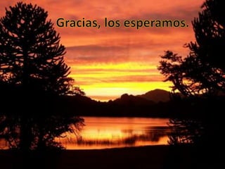 Villa Pehuenia - Moquehue