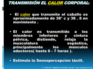 HISTORIAHipócrates 460 a.c , quien en su libro Las Dietas hablaba del ritmo saludable del caballo para la cura de diferentes enfermedades.“La mejor cosa que he conocido para fortificar y reanimar la sangre y la mente es montar diariamente y hacer largos paseos al aire libre", por lo que aconsejaba esta actividad como un tratamiento ideal para la tuberculosis, cólicos biliares y flatulencias, y el tratamiento de la gota. Galeno (130-199 d.C.) F.T MILTON  EMERSON SANCHEZ VILLADA- www.corposantarita.org