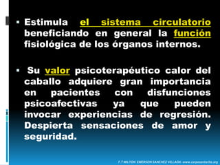PRINCIPIOS TERAPÉUTICOSCalor corporal.Impulso rítmico.Transmisión de un patrón de locomoción tridimensional  equivalente al patrón fisiológico de la marcha humana.F.T MILTON  EMERSON SANCHEZ VILLADA- www.corposantarita.org