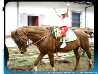  El paso del caballo afecta la pelvis humana y el tronco mientras monta en forma pasiva sobre el caballo en movimiento, lo que fija el patrón fisiológico  de la marcha humana en el cerebro, lo que con el tiempo se automatiza y se logra la transferencia a la marcha pedreste (Dra. Ingrid Strauss 1991).