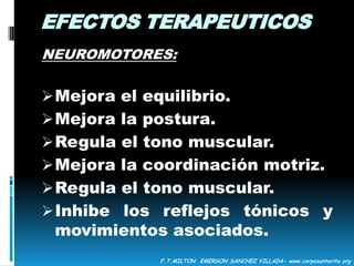  La sensación de avanzar y de ver el mundo desde arriba impacta en el área socio afectiva y pedagógica. Aumento de la confianza y autoestima, sentido de responsabilidad, la comunicación análoga, paciencia.F.T MILTON  EMERSON SANCHEZ VILLADA- www.corposantarita.org