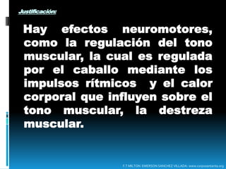 Regula el tono muscular.