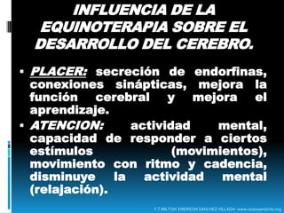 EFECTOS TERAPEUTICOSPSICOLÓGICOS:Logra una sensación de bienestar general.Mejora la auto-confianza.Mejora la auto-estima.Desarrolla la paciencia.Disminuye temoresLogra auto-control y auto-disciplina.Disminuye la ansiedad  y combate la depresión. F.T MILTON  EMERSON SANCHEZ VILLADA- www.corposantarita.org