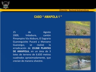 Dirección Nacional Antinarcóticos


                    CASO “ AMAPOLA 1 ”



25            de             Agosto
2009,      Imbabura,         cantón
Pimampiro Vía Aloburo, El Sagrario
Guaranguisito Pucará y Manzano
Guarangui,     se     realizó     la
erradicación de 19.068 PLANTAS
DE AMAPOLA, en un área de 3
lotes de terreno de 6.650 metros
cuadrados aproximadamente, que
crecían de manera silvestre.
 
