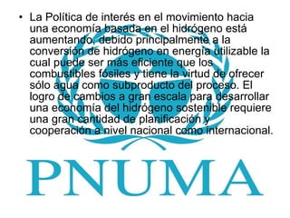 La Política de interés en el movimiento hacia una economía basada en el hidrógeno está aumentando, debido principalmente a la conversión de hidrógeno en energía utilizable la cual puede ser más eficiente que los combustibles fósiles y tiene la virtud de ofrecer sólo agua como subproducto del proceso. El logro de cambios a gran escala para desarrollar una economía del hidrógeno sostenible requiere una gran cantidad de planificación y cooperación a nivel nacional como internacional. 