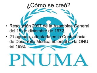 ¿Cómo se creó? Resolución 2997 de la Asamblea General del 15 de diciembre de 1972. 21 agenda, adoptada en la Conferencia de Desarrollo Medioambiental de la ONU en 1992. 