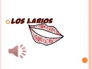 Los labios
 
