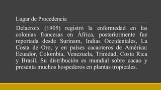 Lugar de Procedencia
Delacroix (1905) registró la enfermedad en las
colonias francesas en África, posteriormente fue
reportada desde Surinam, Indias Occidentales, La
Costa de Oro, y en países cacaoteros de América:
Ecuador, Colombia, Venezuela, Trinidad, Costa Rica
y Brasil. Su distribución es mundial sobre cacao y
presenta muchos hospederos en plantas tropicales.
 
