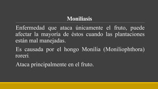 Moniliasis
Enfermedad que ataca únicamente el fruto, puede
afectar la mayoría de éstos cuando las plantaciones
están mal manejadas.
Es causada por el hongo Monilia (Moniliophthora)
roreri.
Ataca principalmente en el fruto.
 