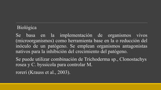 Biológica
Se basa en la implementación de organismos vivos
(microorganismos) como herramienta base en la o reducción del
inóculo de un patógeno. Se emplean organismos antagonistas
nativos para la inhibición del crecimiento del patógeno.
Se puede utilizar combinación de Trichoderma sp., Clonostachys
rosea y C. byssicola para controlar M.
roreri (Krauss et al., 2003).
 