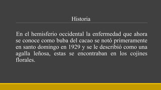 Historia
En el hemisferio occidental la enfermedad que ahora
se conoce como buba del cacao se notó primeramente
en santo domingo en 1929 y se le describió como una
agalla leñosa, estas se encontraban en los cojines
florales.
 