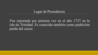 Lugar de Procedencia
Fue reportada por primera vez en el año 1727 en la
isla de Trinidad. Es conocida también como pudrición
parda del cacao.
 
