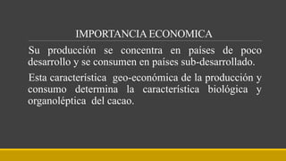 IMPORTANCIA ECONOMICA
Su producción se concentra en países de poco
desarrollo y se consumen en países sub-desarrollado.
Esta característica geo-económica de la producción y
consumo determina la característica biológica y
organoléptica del cacao.
 