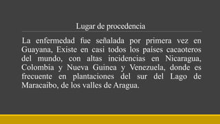 Lugar de procedencia
La enfermedad fue señalada por primera vez en
Guayana, Existe en casi todos los países cacaoteros
del mundo, con altas incidencias en Nicaragua,
Colombia y Nueva Guinea y Venezuela, donde es
frecuente en plantaciones del sur del Lago de
Maracaibo, de los valles de Aragua.
 