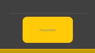 Nematodos
 