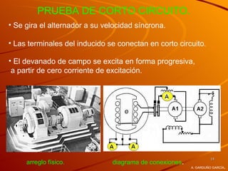 PRUEBA DE CORTO CIRCUITO.
• Se gira el alternador a su velocidad síncrona.

• Las terminales del inducido se conectan en corto circuito.

• El devanado de campo se excita en forma progresiva,
 a partir de cero corriente de excitación.




                                                                  14
     arreglo físico.           diagrama de conexiones.
                                                                         .
                                                         A. GARDUÑO GARCÍA
 