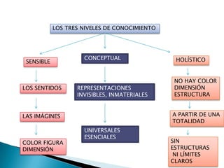 LOS TRES NIVELES DE CONOCIMIENTO




                     CONCEPTUAL                 HOLÍSTICO
 SENSIBLE


                                                NO HAY COLOR
LOS SENTIDOS       REPRESENTACIONES             DIMENSIÓN
                   INVISIBLES, INMATERIALES     ESTRUCTURA


LAS IMÁGINES                                   A PARTIR DE UNA
                                               TOTALIDAD
                     UNIVERSALES
                     ESENCIALES
COLOR FIGURA                                   SIN
DIMENSIÓN                                      ESTRUCTURAS
                                                NI LÍMITES
                                               CLAROS
 