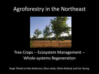 Agroforestry in the Northeast Tree Crops -- Ecosystem Management -- Whole-systems Regeneration Huge Thanks to Kat Anderson; Dave Jacke; Ethan Roland; and Jon Young. 