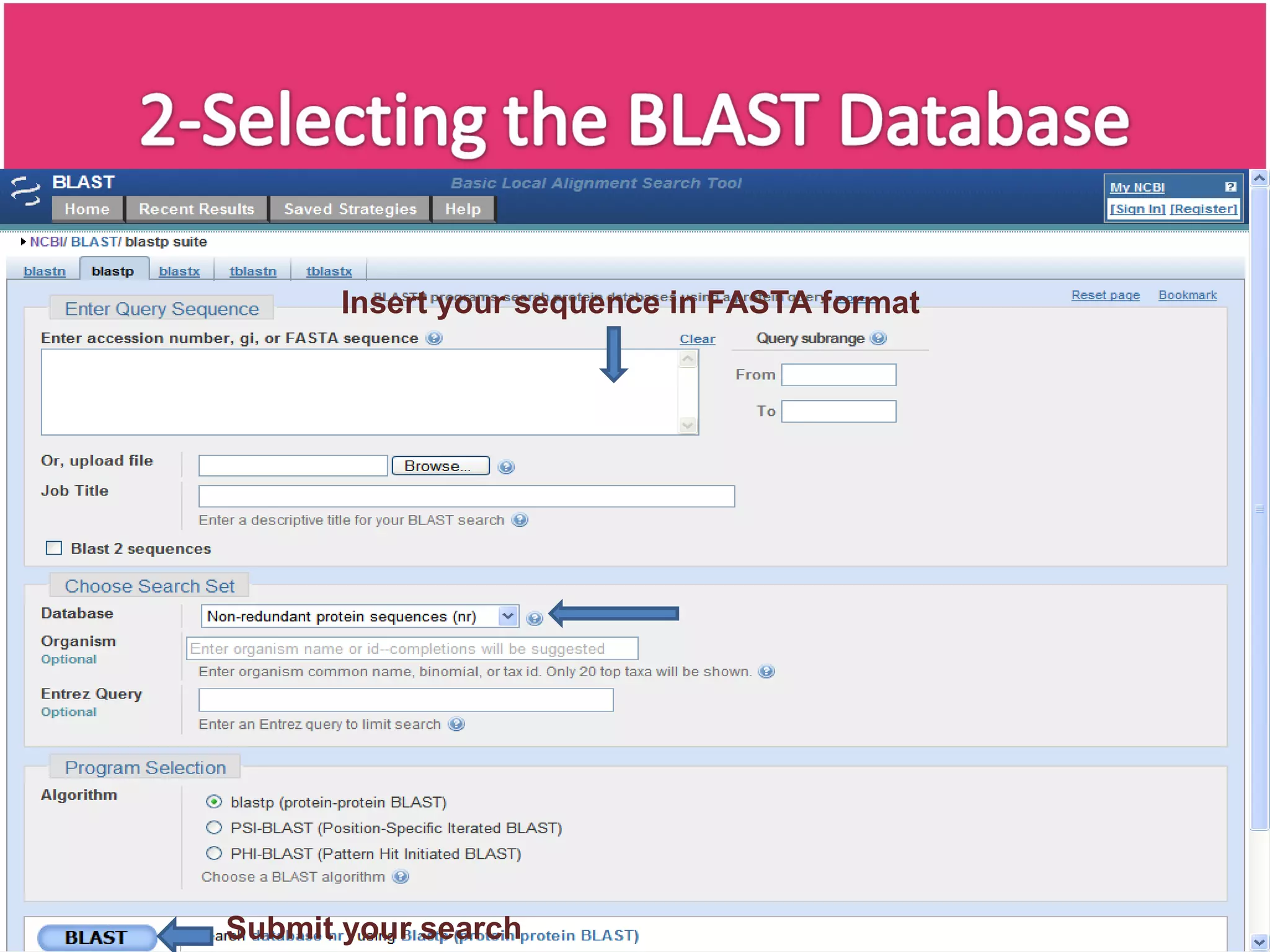 Insert your sequence in FASTA format Submit your search 