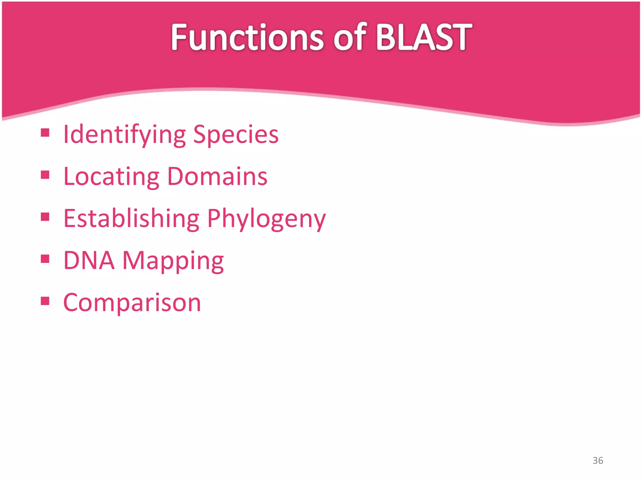 Identifying Species Locating Domains Establishing Phylogeny DNA Mapping Comparison 