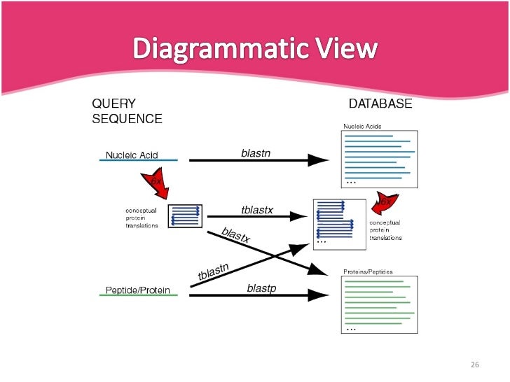 BLAST(Basic Local Alignment Tool)