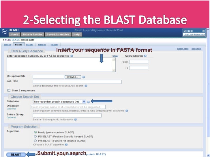 BLAST(Basic Local Alignment Tool)