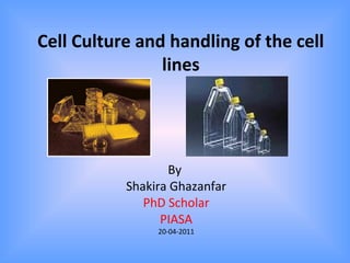 Cell Culture and handling of the cell
lines
By
Shakira Ghazanfar
PhD Scholar
PIASA
20-04-2011
 