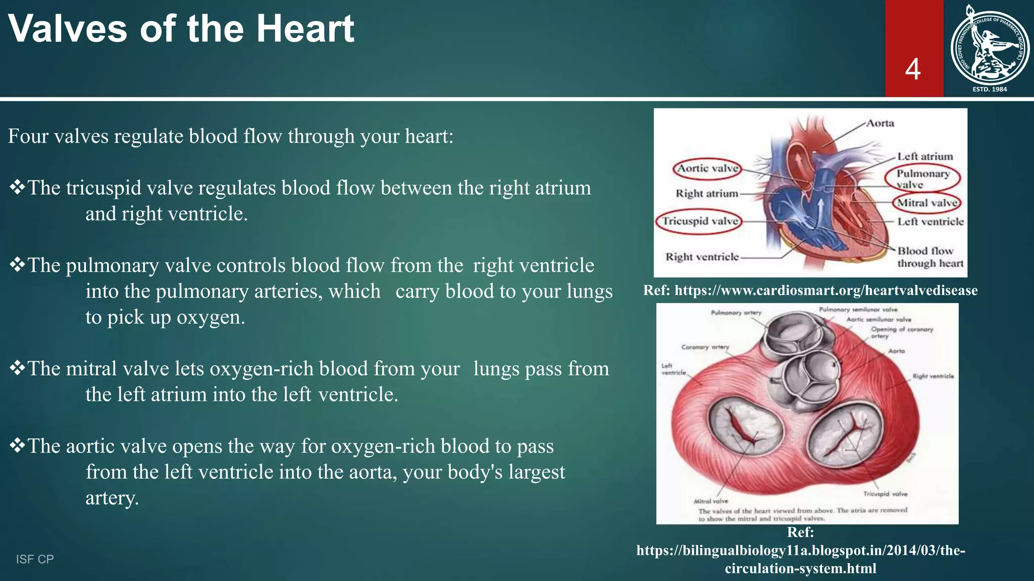 Anatomy and Physiology of the Heart | PPTX