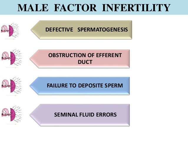 Excerpt From Adams Dairy Analysis Excerpt From Adams Dairy Analysis