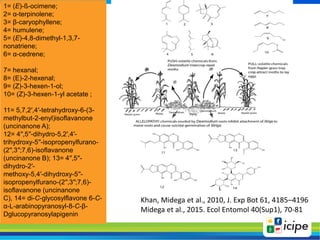 www.icipe.org
1= (E)-ß-ocimene;
2= α-terpinolene;
3= β-caryophyllene;
4= humulene;
5= (E)-4,8-dimethyl-1,3,7-
nonatriene;
...