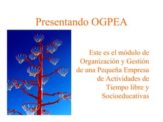 Presentando OGPEA
Este es el módulo de
Organización y Gestión
de una Pequeña Empresa
de Actividades de
Tiempo libre y
Socioeducativas
 
