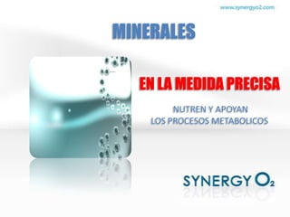 MINERALES

  EN LA MEDIDA PRECISA
         NUTREN Y APOYAN
    LOS PROCESOS METABOLICOS
 