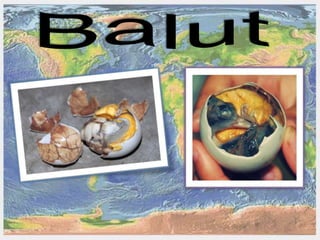 Presentação comidas