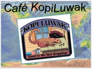 Presentação comidas